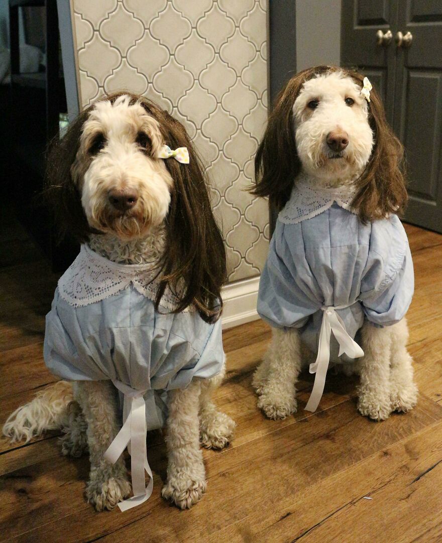 Come Play With Us... Forever + Ever, + Ever Come Play With Us... Forever + Ever, + Ever
