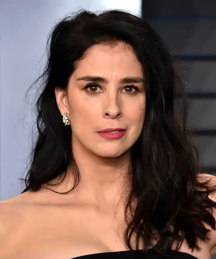 Sarah Silverman Still Friends With Louis, Aziz Ansari