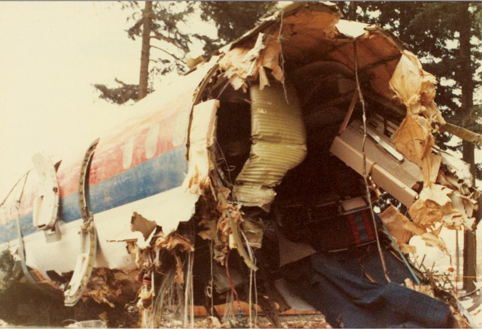 Archive of 63 photographs of the crash of United Airlines Flight 173 | United  Airlines Flight 173