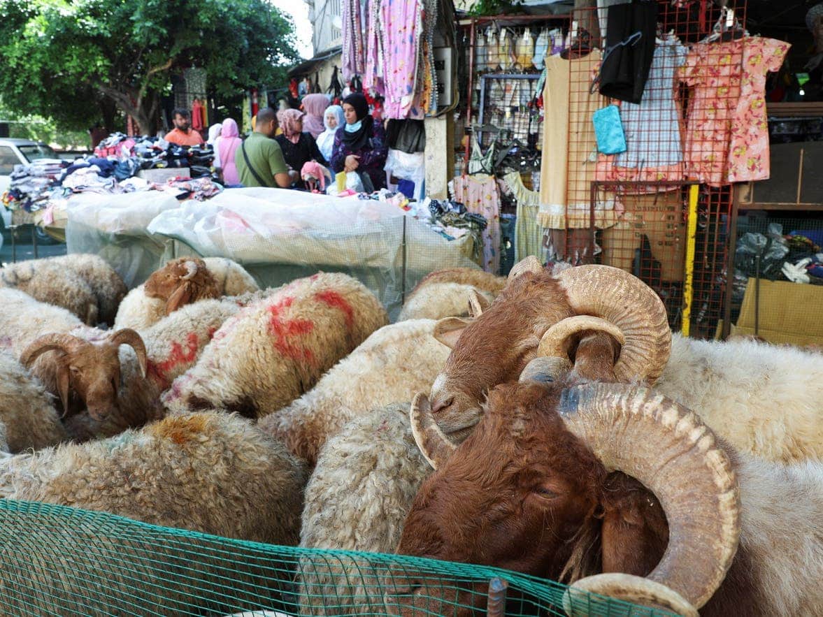 Soaring food prices put damper on Eid al-Adha in Middle East