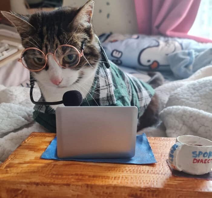 I Dressed My Cat As A Call Centre Agent For Halloween I Dressed My Cat As A Call Centre Agent For Halloween