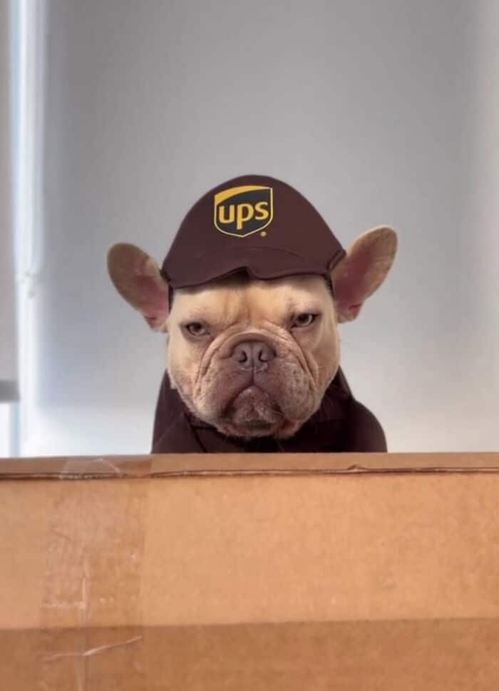 Heckin Moms During Halloween Heckin Moms During Halloween