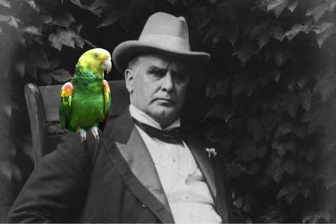 6 Bizarre Names of President's Pets – SAC Media