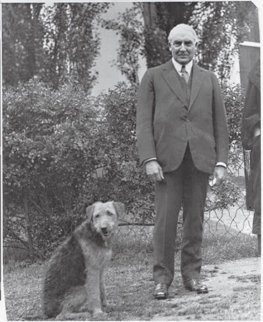 Meet Laddie Boy: The First Celebrity Presidential Pet ‹ Literary Hub