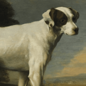 George Washington and Sweet Lips – Wagable