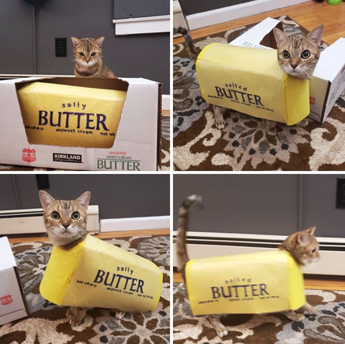 Happy Halloween From My Little Butter Monster, Sophie Happy Halloween From My Little Butter Monster, Sophie