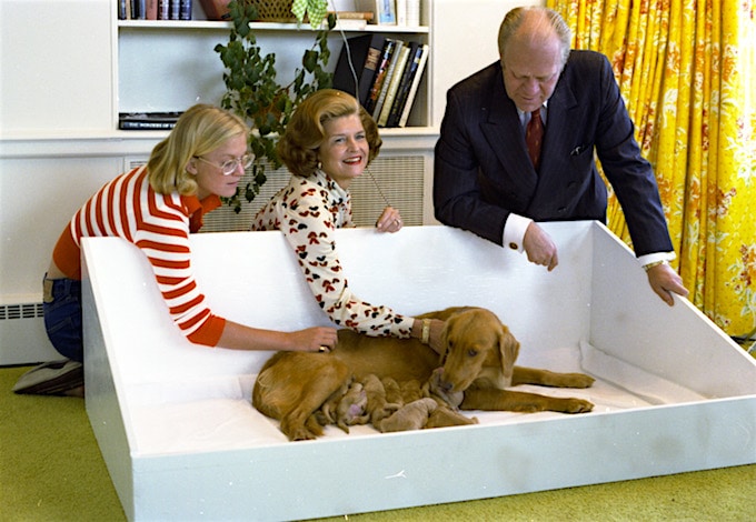 Gerald Ford's Dog Liberty | Presidential Pet Museum