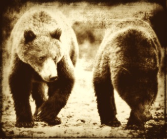 Thomas Jefferson and the Grizzly Bears at the White House