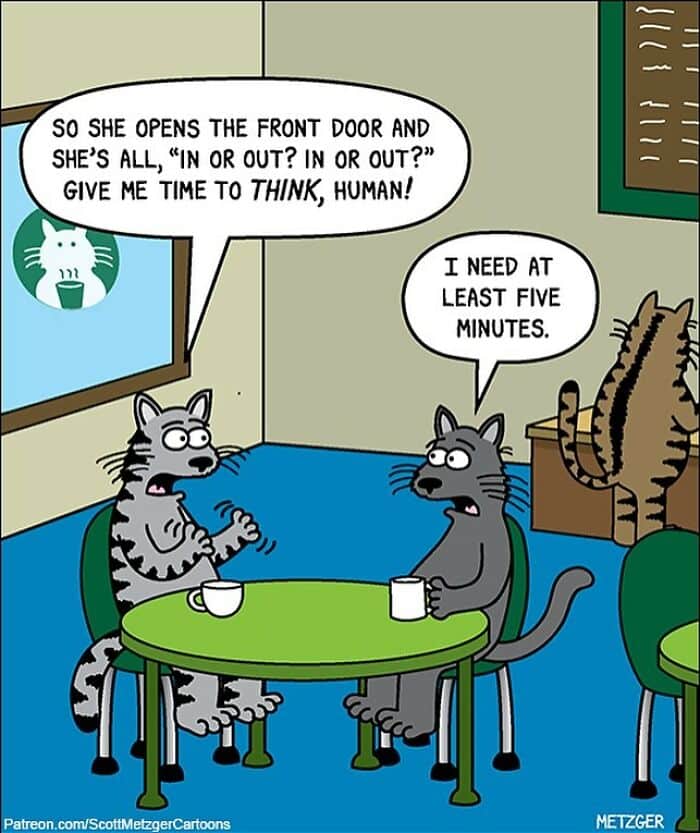 Only Cat And Dog Owners Might Truly Understand These 39 New Cartoons By The Artist Scott Metzger