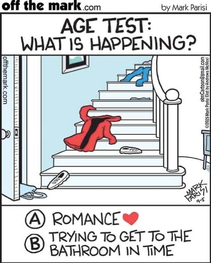 Cartoon by award-winning cartoonist Mark showing a humorous dog comic with clothes scattered on stairs and two choices.