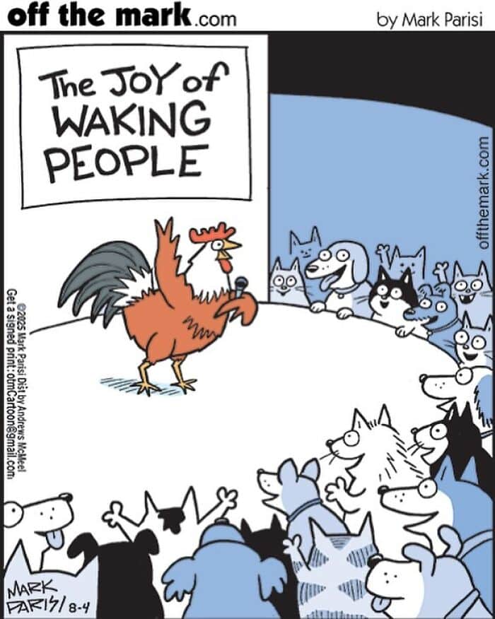 Cartoonist Mark Parisi's dog comics featuring a rooster waking dogs, showcasing his award-winning humor and laughter.