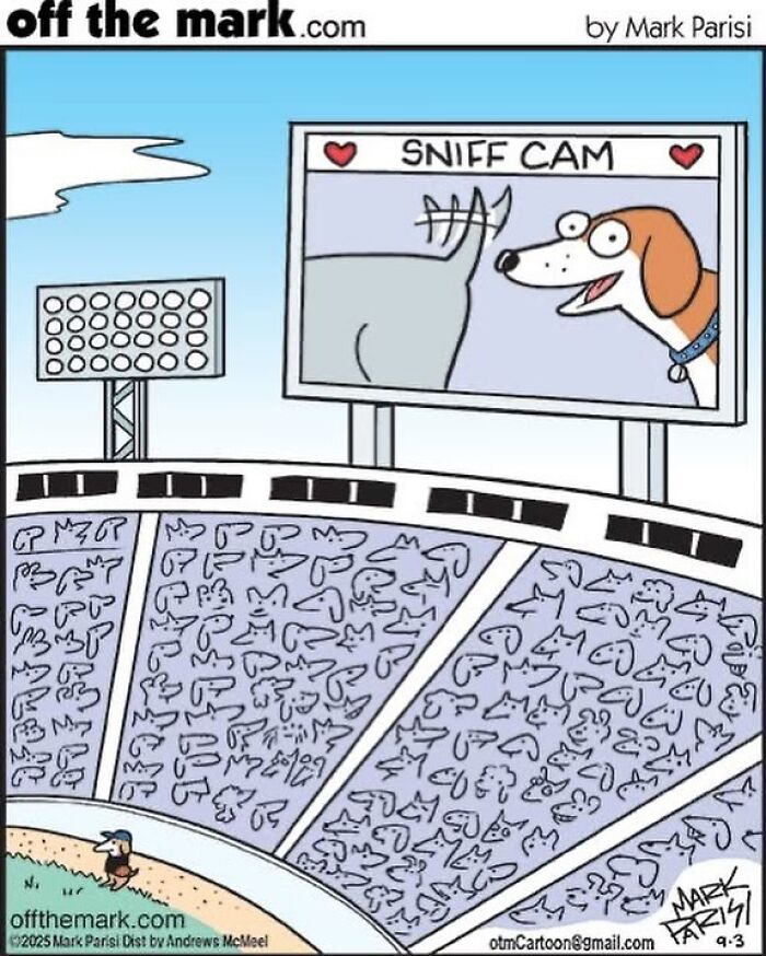Cartoon by award-winning Mark showing dogs in a stadium watching a humorous sniff cam on a large screen.