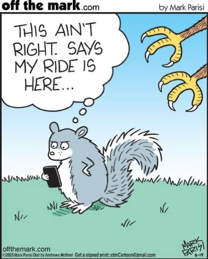 Cartoon squirrel holding phone confused by bird claws, humor from award-winning cartoonist Mark’s dog comics.
