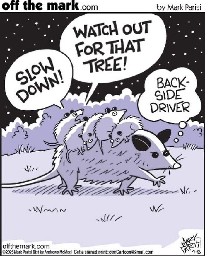 Cartoonist Mark’s hilarious dog comics featuring animals in a funny roadside safety scene at night.