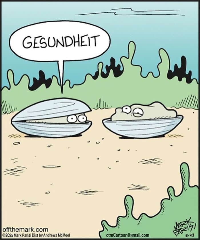 Cartoonist Mark’s humorous dog comics featuring a quirky clam saying gesundheit in a beach setting.