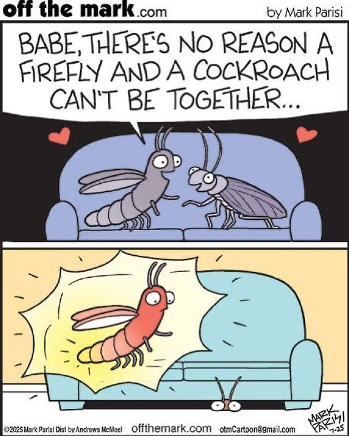 Cartoon by award-winning cartoonist Mark showing a firefly and cockroach in a humorous comic strip.