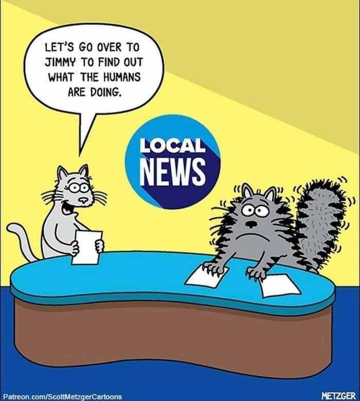 Only Cat And Dog Owners Might Truly Understand These 39 New Cartoons By The Artist Scott Metzger Only Cat And Dog Owners Might Truly Understand These 39 New Cartoons By The Artist Scott Metzger