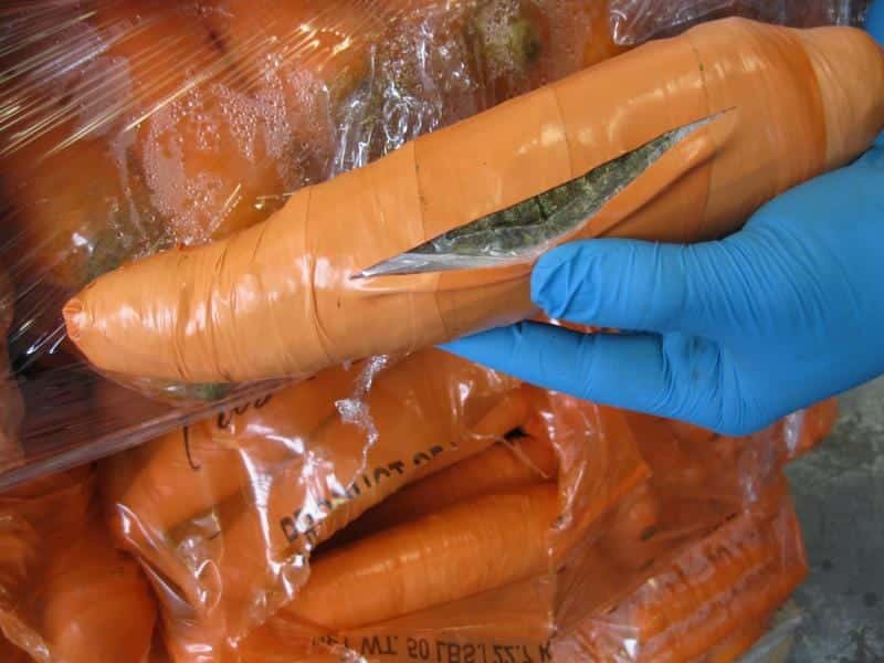 Smugglers Are Hiding Drugs in Food Shipments - Business Insider