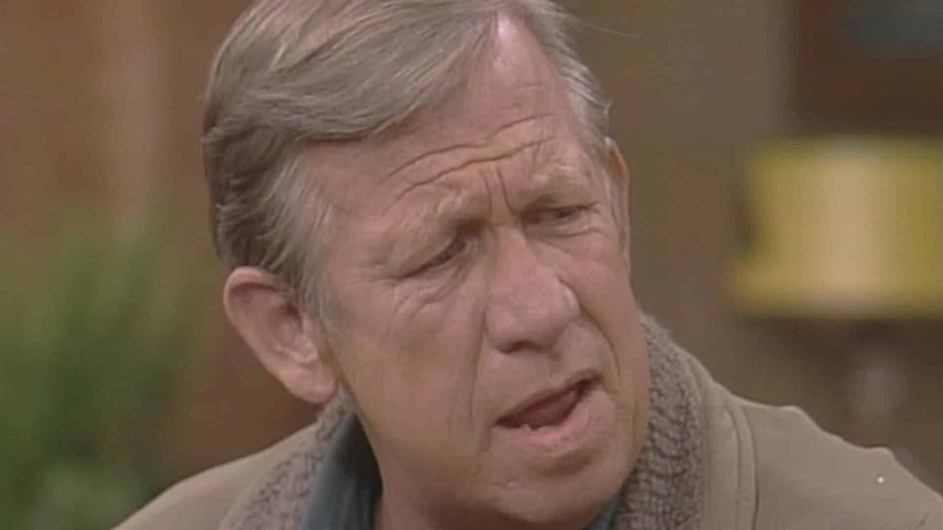All in the Family" Unequal Partners (TV Episode 1977) - Allan Melvin as Barney Hefner - IMDb