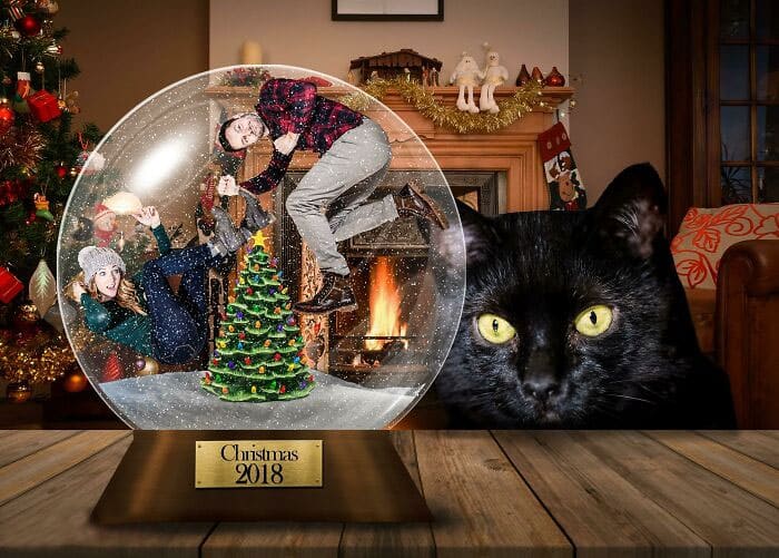 Funny Christmas card with a family inside a snow globe, and a black cat staring. Fireplace and decorations in the background.