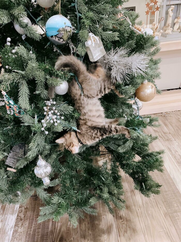 I Guess I'm Stuck Here For Christmas I Guess I'm Stuck Here For Christmas