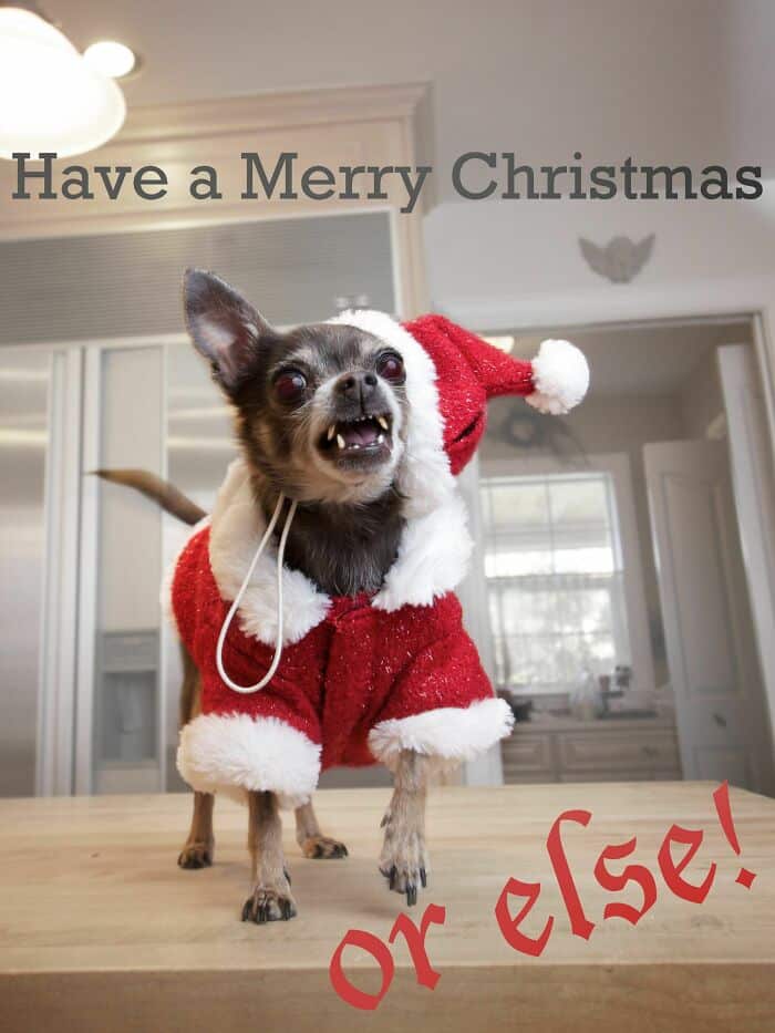Funny Christmas card featuring a small dog in a Santa outfit with a humorous warning message. Funny Christmas card featuring a small dog in a Santa outfit with a humorous warning message.