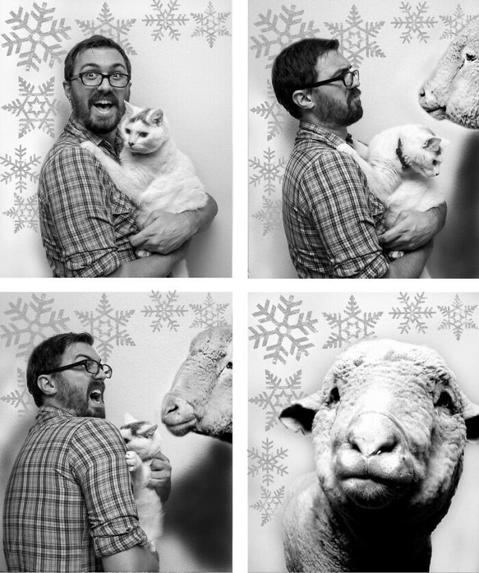 My Family Didn't Really Understand My Christmas Card