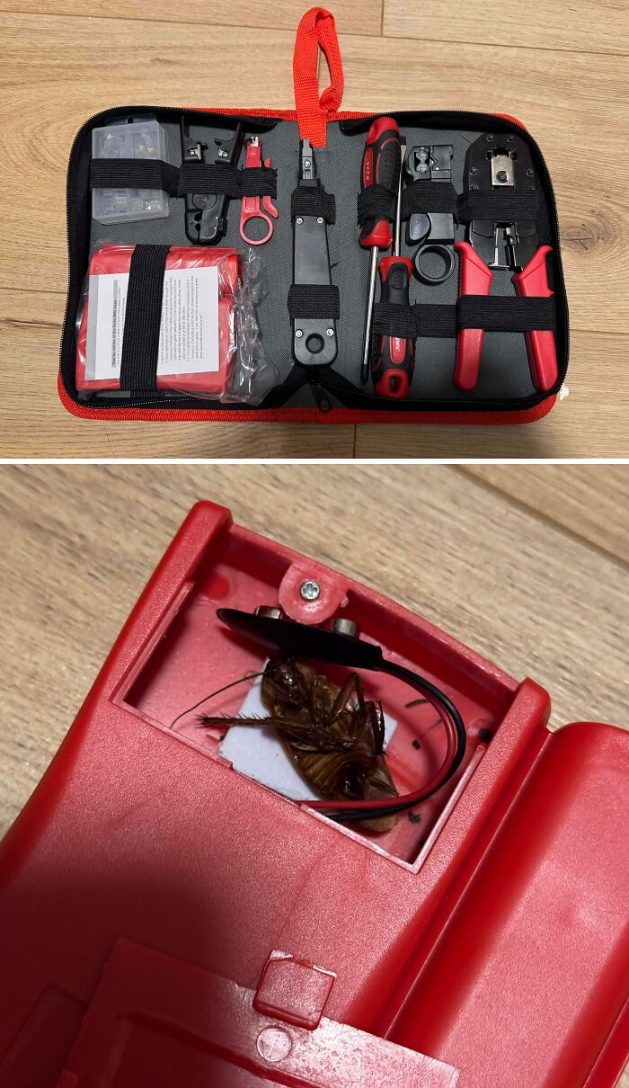 Red and black tool kit with a hidden compartment containing a dead cockroach, showing careless online shopping fail. Red and black tool kit with a hidden compartment containing a dead cockroach, showing careless online shopping fail.