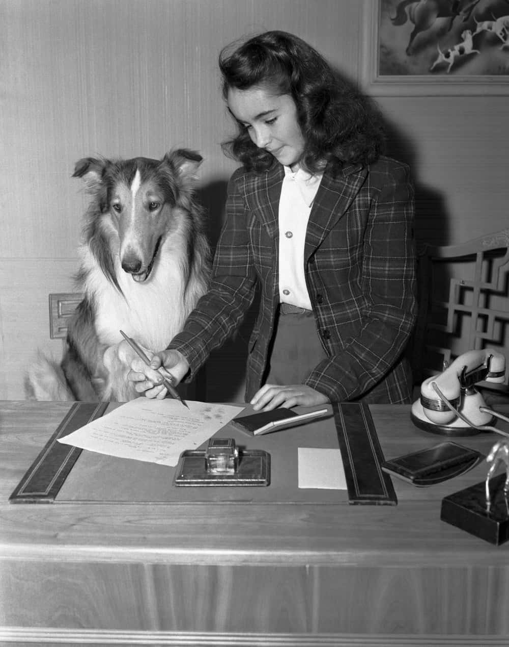 Elizabeth Taylor Helps Lassie Sign A Contract, 1943