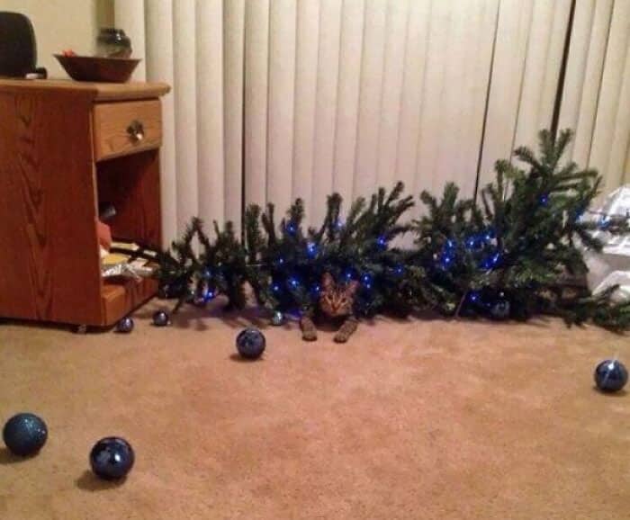 Fa La La La La - La La La Nope Fa La La La La - La La La Nope