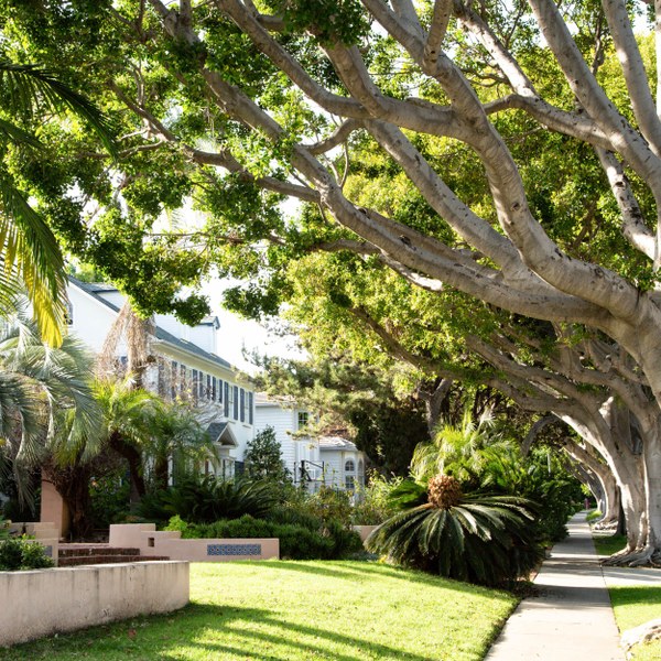 The Flats, Beverly Hills CA - Neighborhood Guide | Trulia