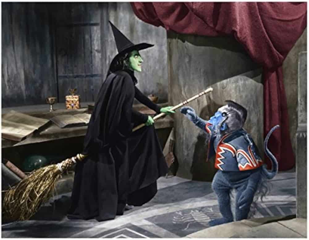 Amazon.com: The Wizard of Oz Wicked Witch of The West aka Margaret Hamilton by Monkey on Broom 8 x 10 Photo : פריטי אספנות ואמנות