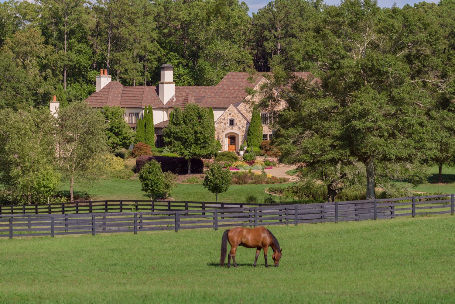Dwayne Johnson Purchases Majestic Horse Property in Georgia - C&I Magazine