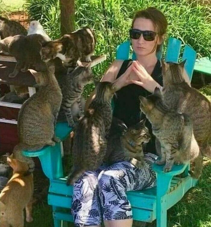 Woman surrounded by multiple cats sitting outdoors in a garden, illustrating random photos you may not know where to begin processing. Woman surrounded by multiple cats sitting outdoors in a garden, illustrating random photos you may not know where to begin processing.