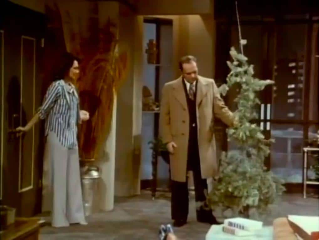 The Bob Newhart Show" 'Twas the Pie Before Christmas (TV Episode 1977) -  IMDb