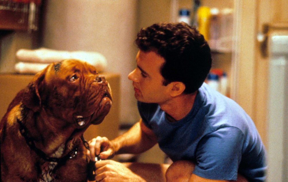 Tom Hanks and Henry Winkler's Feud Explained: Turner & Hooch Drama | Us Weekly