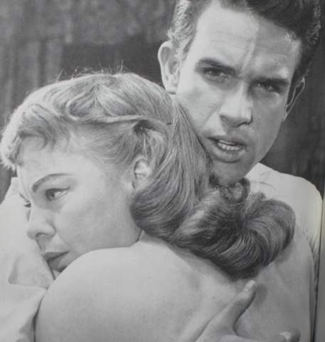 the passionate moviegoer: cinema obscura: schaffner's "the stripper" /  stage → movie: william inge plays on film