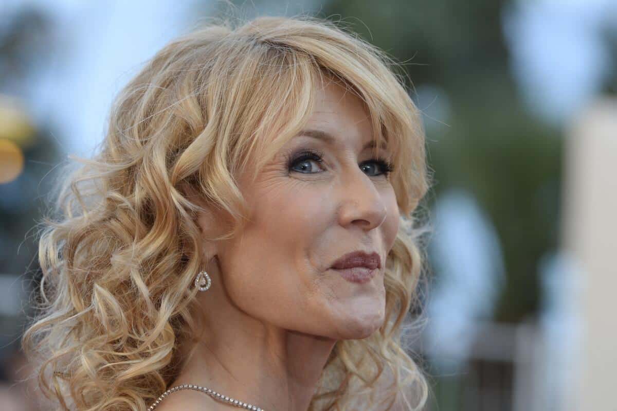 Emmys 2013: Laura Dern can't believe 'Enlightened' is over - Los Angeles  Times